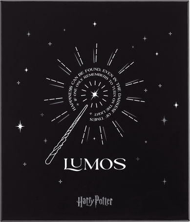 Moleskine Bundle in edizione limitata Wizarding World di Harry PotterSet regalo con penna roller Kaweco e taccuino