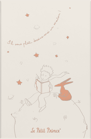 Moleskine Set Le Petit Prince in edizione limitataTaccuino large a righe, Agenda large senza date, con Gift Box