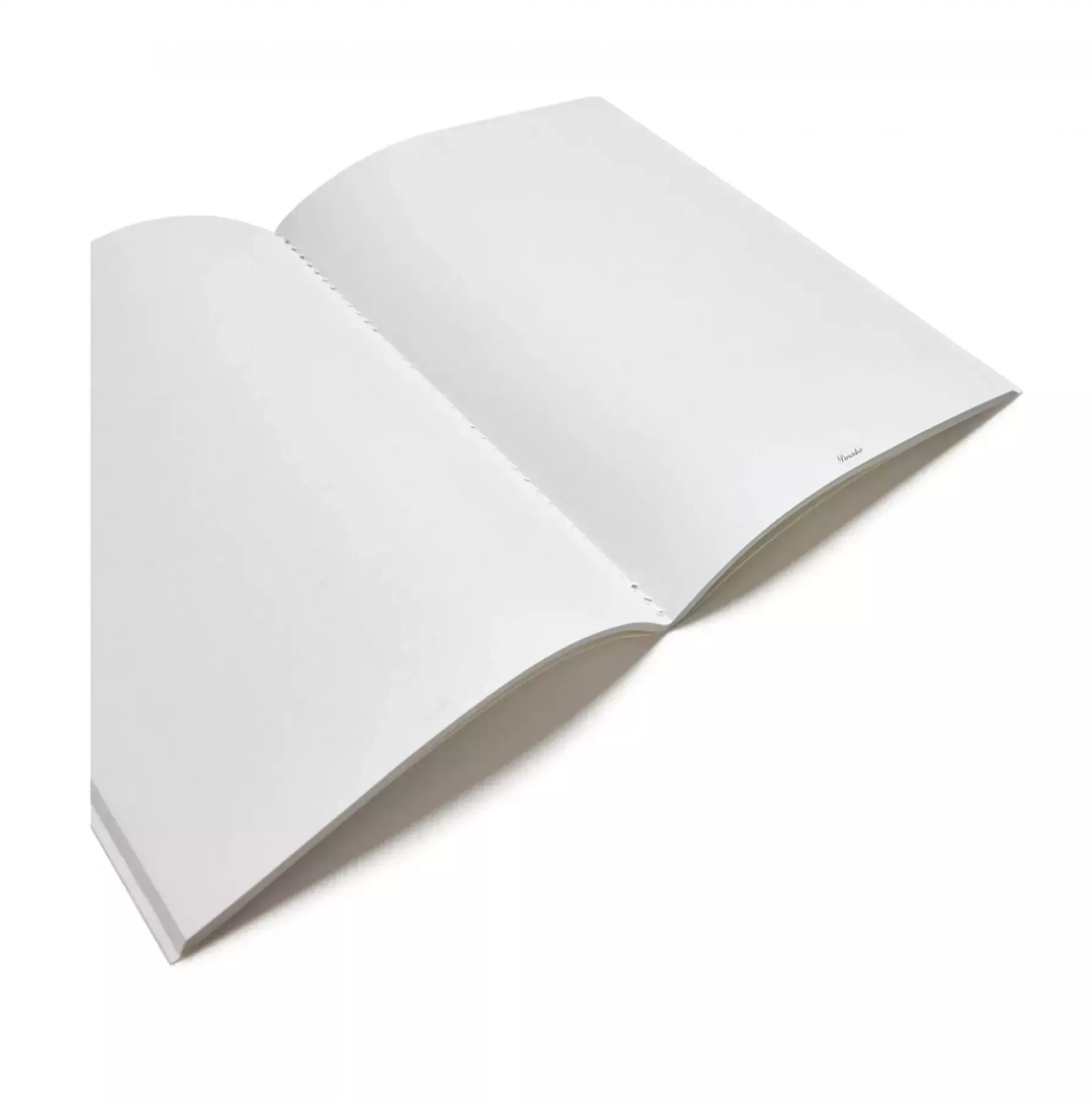 Pineider Notebook EcoJazz senza righe Vendita